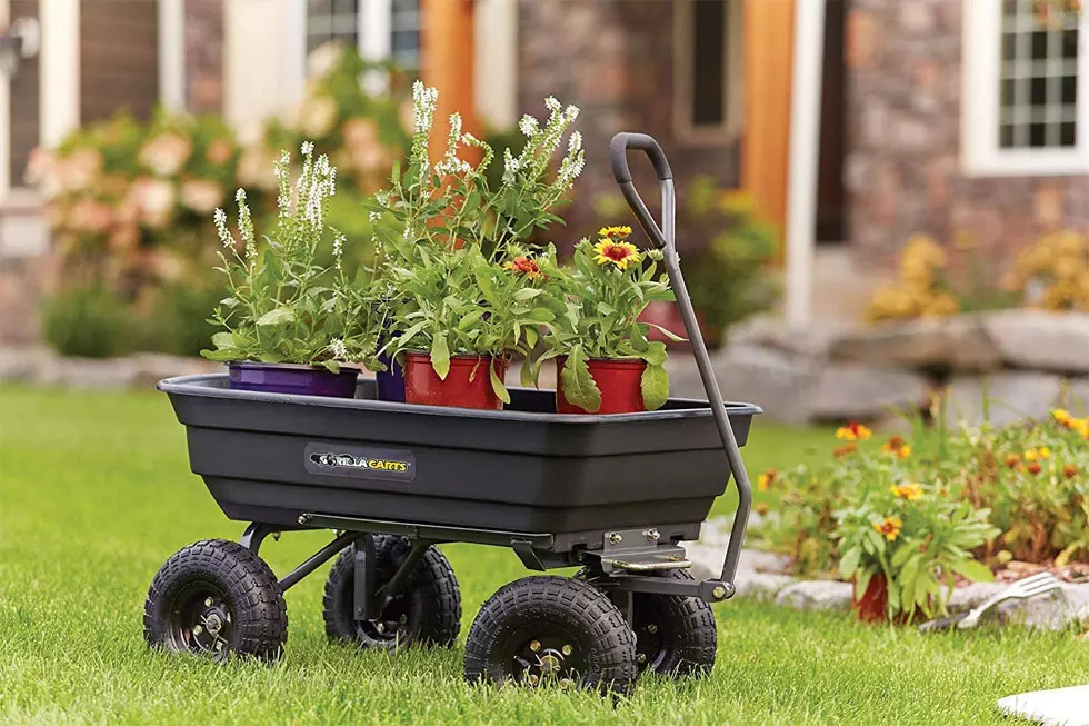 Gear up for gardening with great garden tools