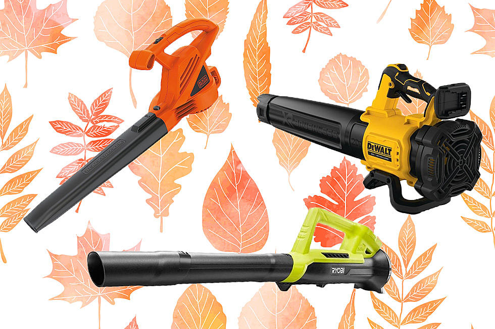 Leaf Blowers to Fall For