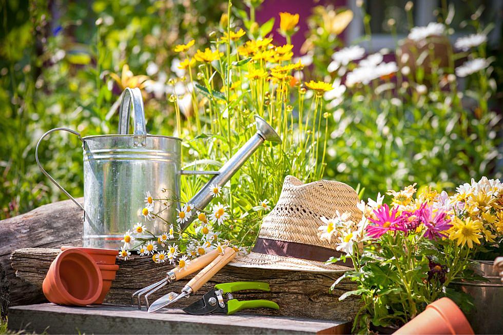 Enjoy the Benefits of Gardening All Year Long!