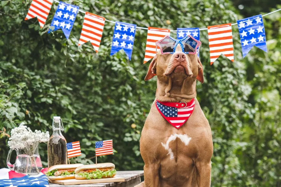 Gear Up for the Ultimate Memorial Day Cookout!