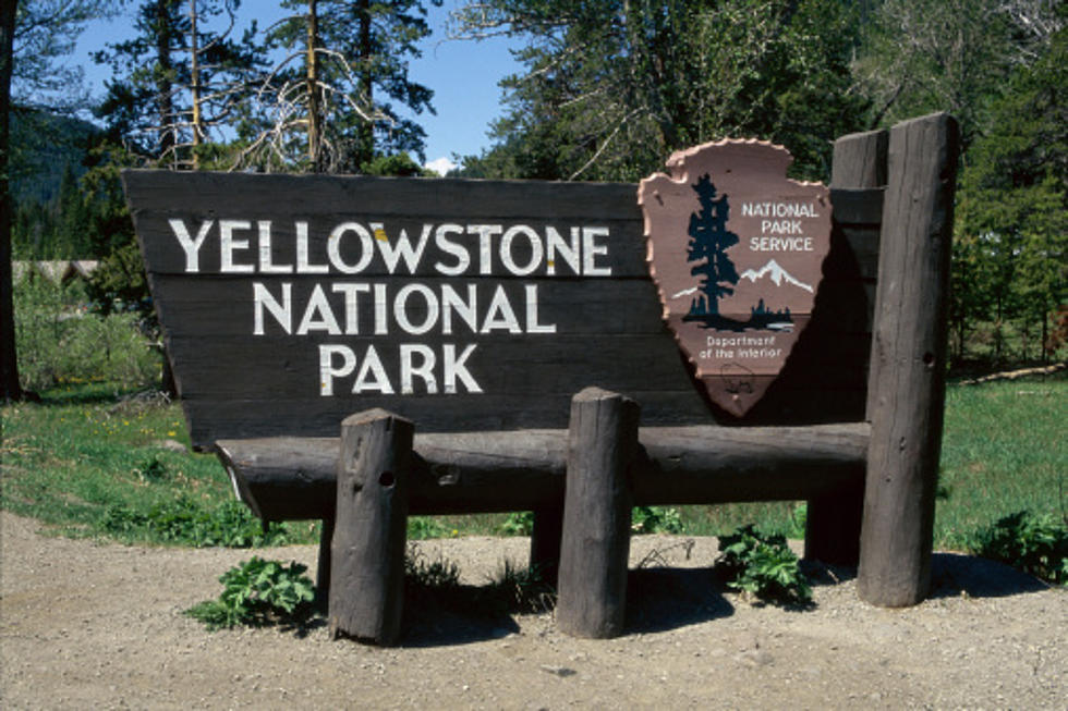Yellowstone Road Melted by Hot Spot Reopened