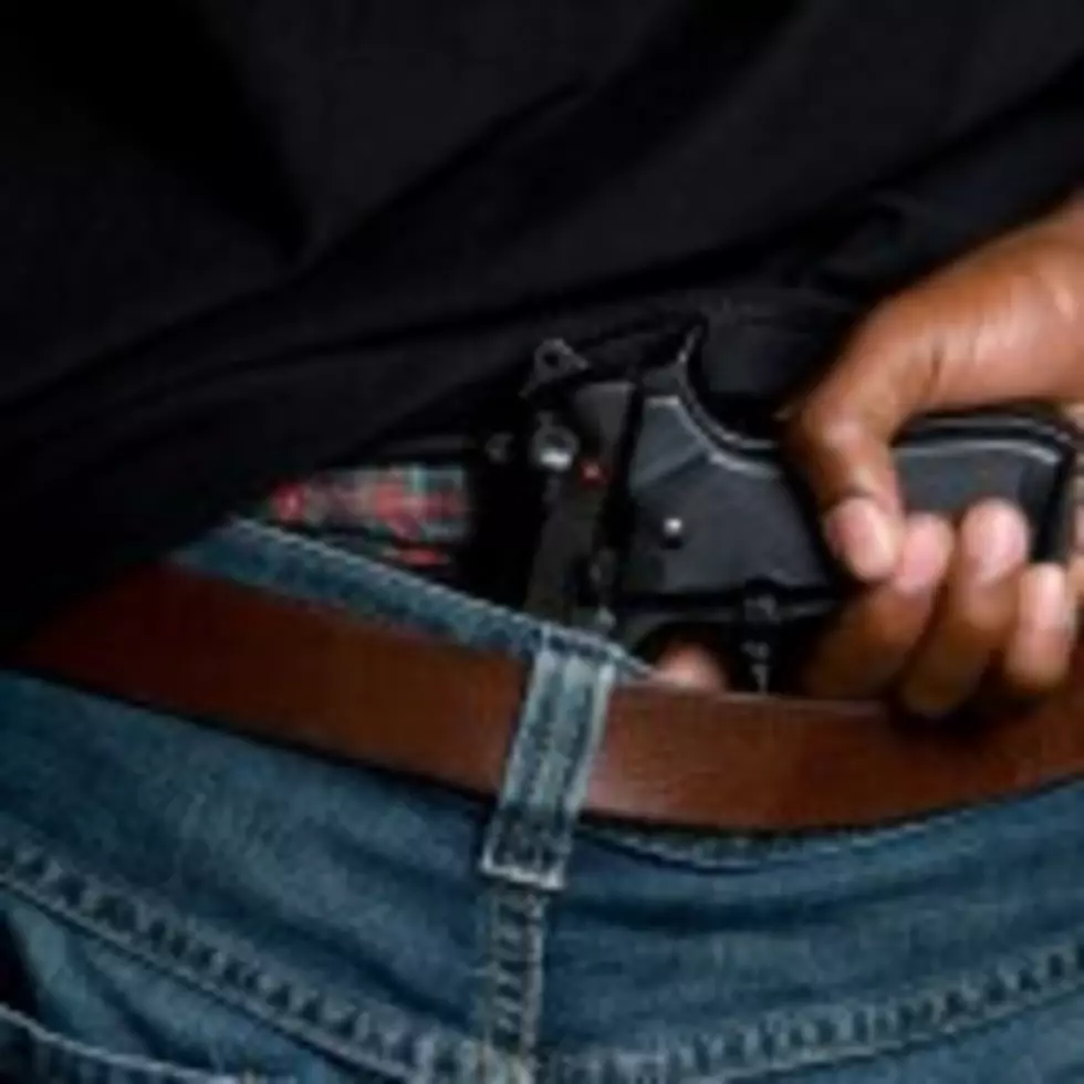 House Committee Clears Conceal Carry Bill