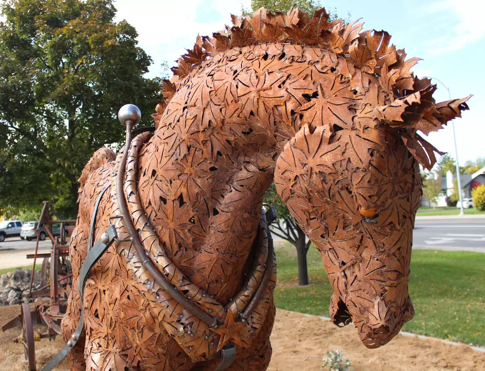 Horse Art Installed at Pocket Park