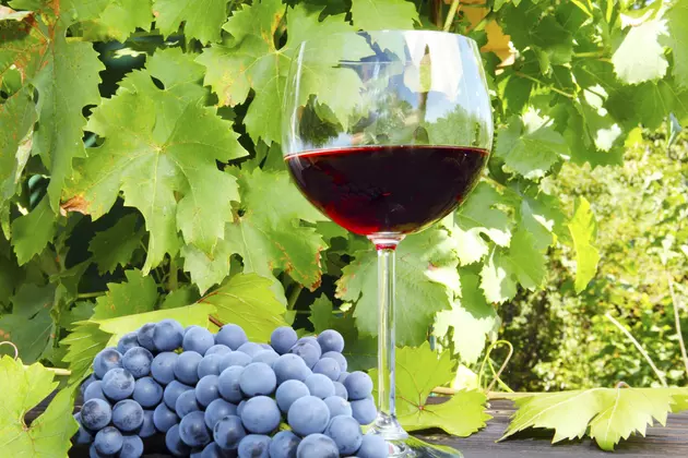 Idaho&#8217;s Wine Grape Crop Rebounds After 2015