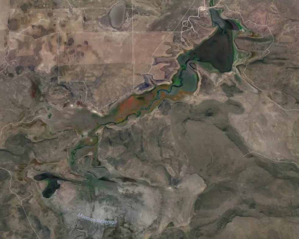 Mormon Reservoir Test Positive for Toxic Algae Bloom
