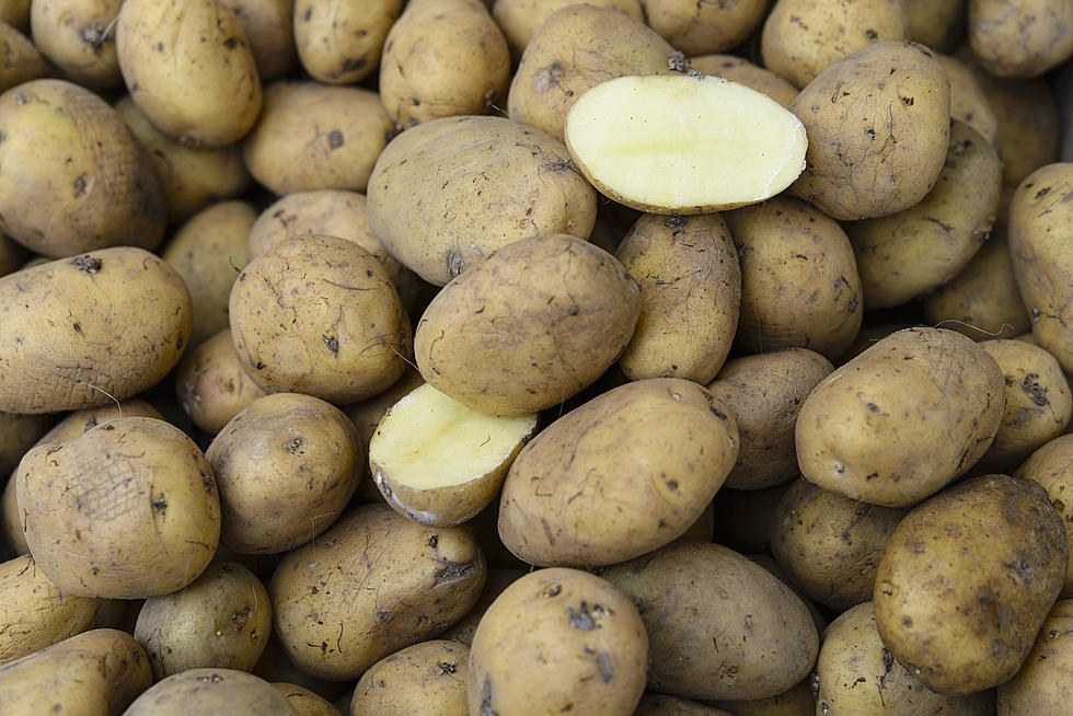 Idaho Officials Designing Giant, Glow-in-the-dark Potato
