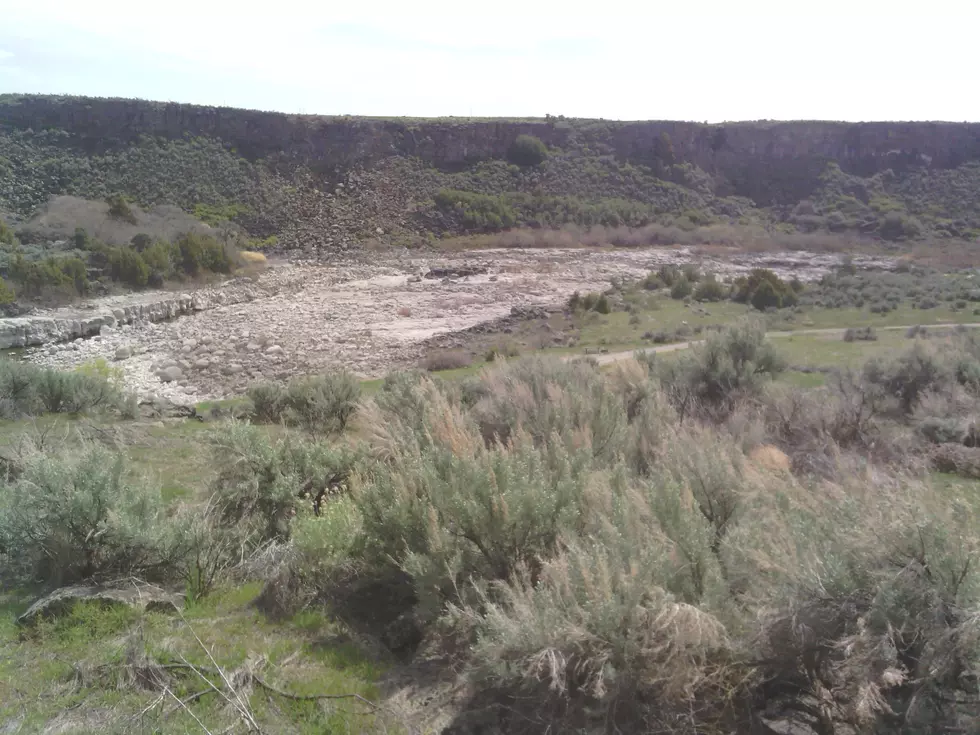 BLM and Bakery to Team Up and Plant Sagebrush in Burn Area
