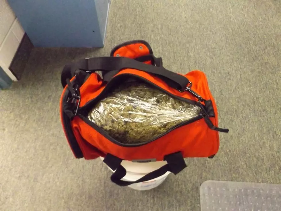 No Taillights Turns Up Pot in Elko County, Man Arrested