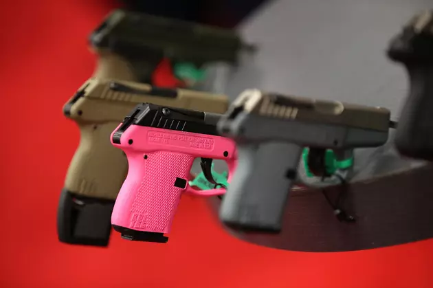 Idaho is Tops in One Gun Study