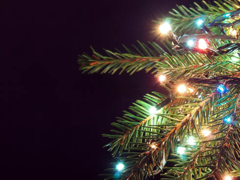 Where to Get Christmas Tree Permits in Southern Idaho