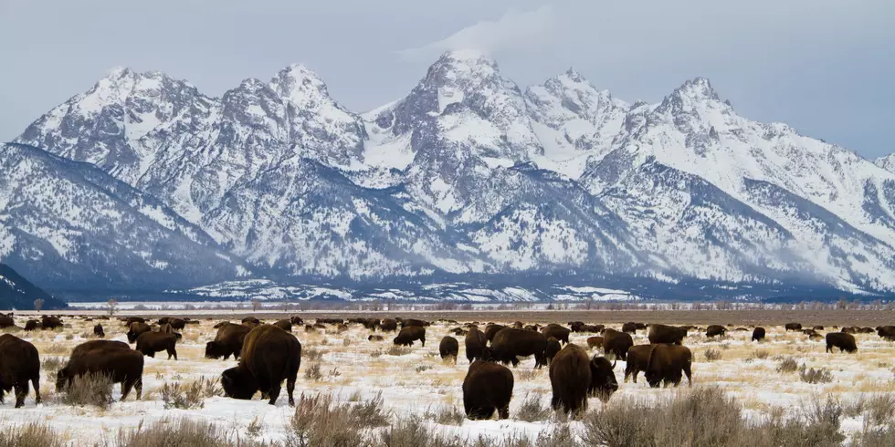 Grand Teton Recognized for Improving Access to Visitors