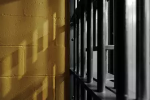Idaho Man Sentenced to Jail for Grand Theft