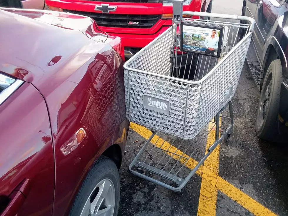 Can You Please Put Away Your Grocery Cart?