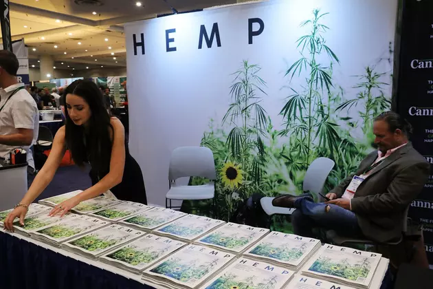 Prediction:  Legalized Hemp Means Legalized Marijuana