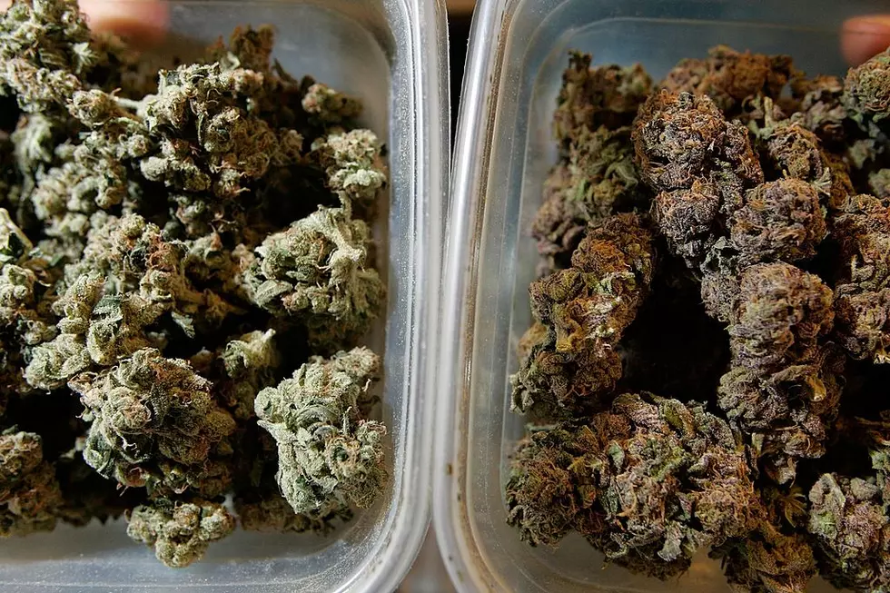Boise Cascade Sues Marijuana Dispensary