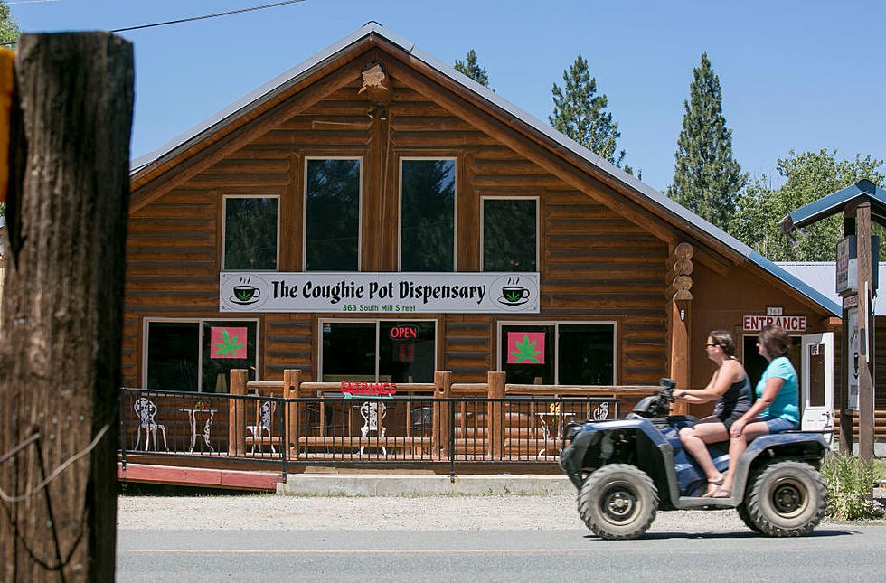Oregon Will Suspend Marijuana Growing Licenses