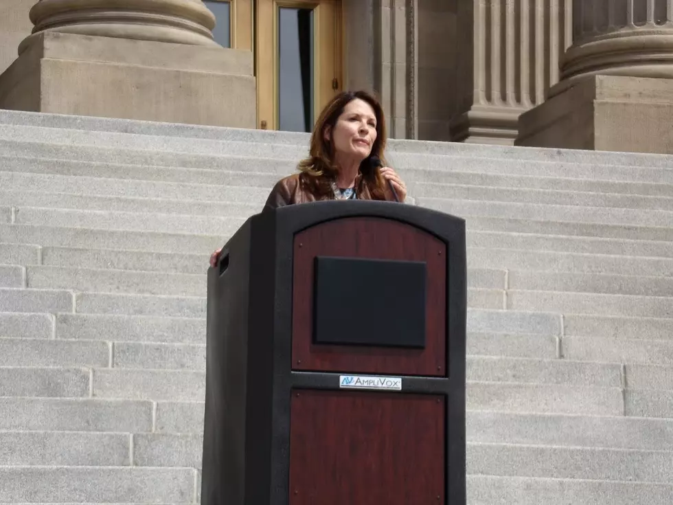 Idaho Lt. Gov. Janice McGeachin Was Left Out of COVID Decisions