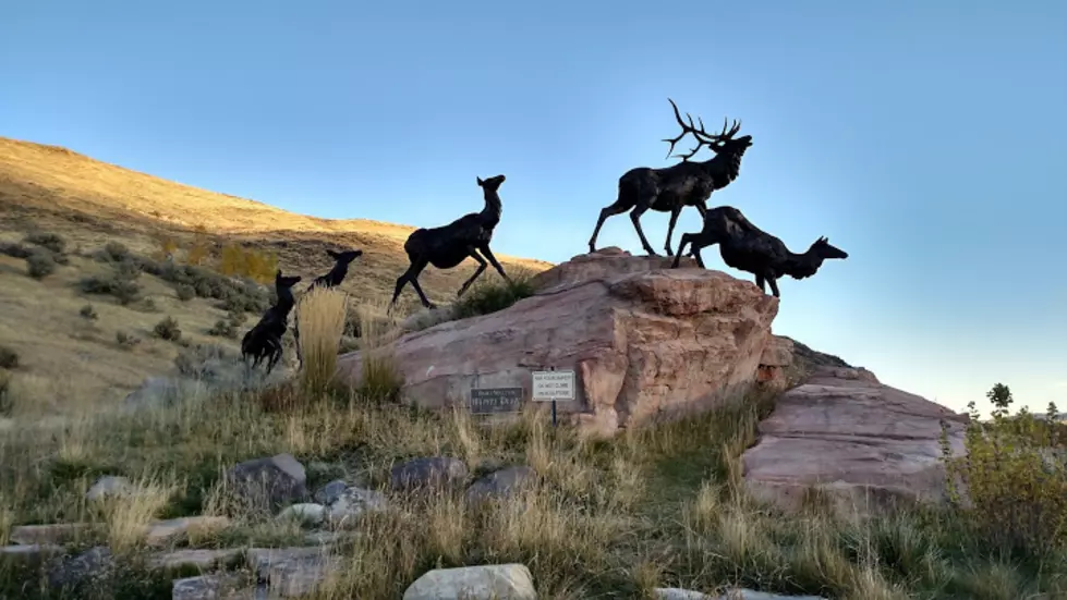Idaho&#8217;s Most Famous Elk is Moving to Texas
