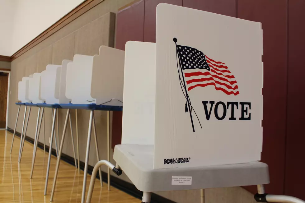 Idaho Secretary of State Asks to Delay May Primary, Pushes Absentee Voting