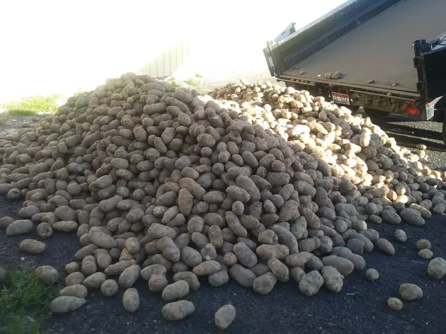 Opinion:  The Idaho Potato Industry May Never Recover
