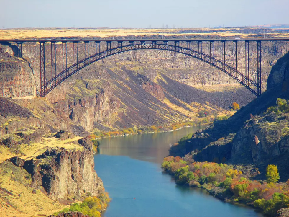 What Would You Do? $10,000 to Base Jump Off Perrine Bridge