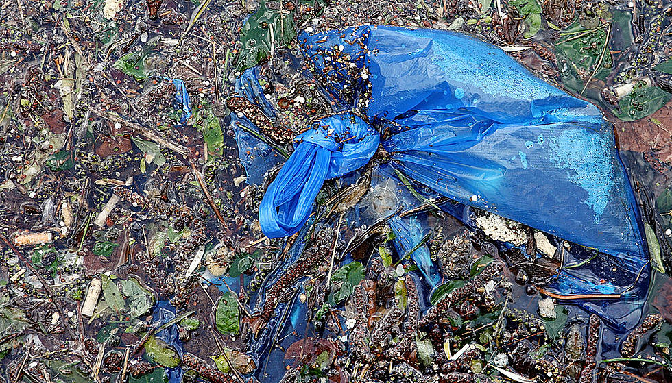 OPINION:  Idaho Legislator Proposes Plastic Ban