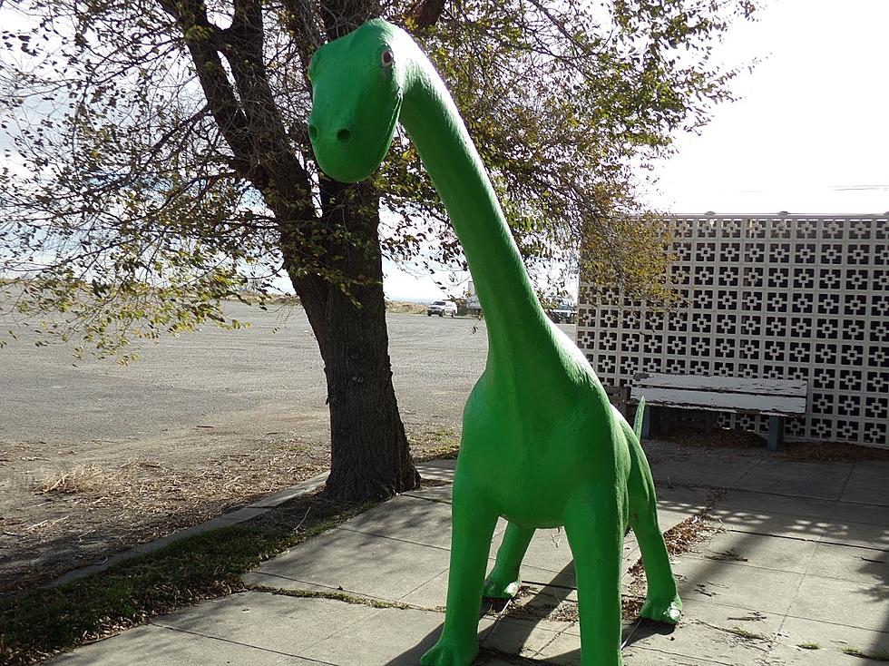 The History of a Famous Idaho Dinosaur