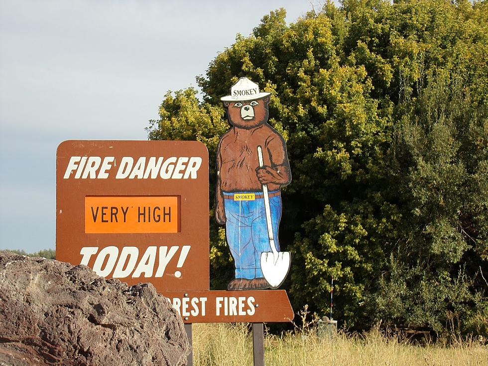 Are You Idaho Tough?  How Would You Survive a Wildfire?
