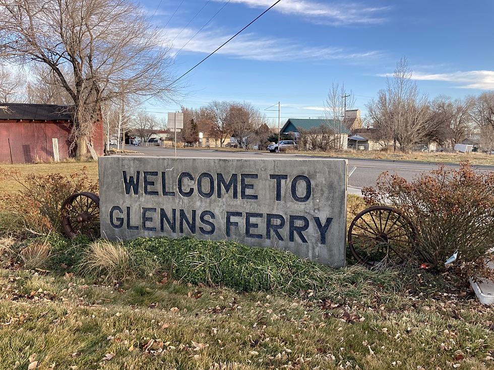 Deer Damaging Vineyard in Glenns Ferry Removed by Lethal Means