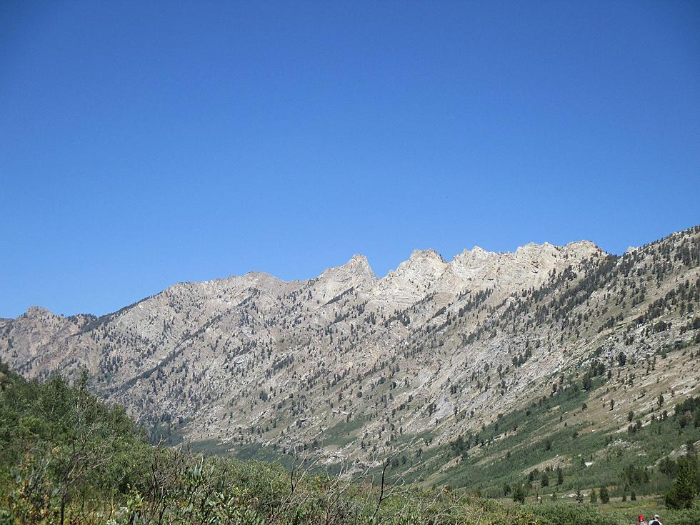 BASE Jumper with Wingsuit Killed in Nevada’s Lamoille Canyon