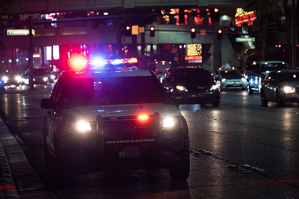 Shoshone Man Charged Following Utah Police Pursuit