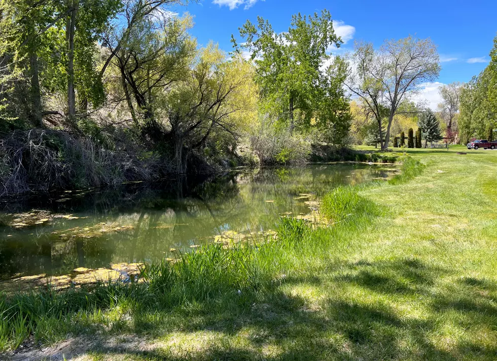 New Fishing Pond in Twin Falls