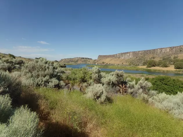 CLAIM:  Idaho Home to America&#8217;s Second Worst River