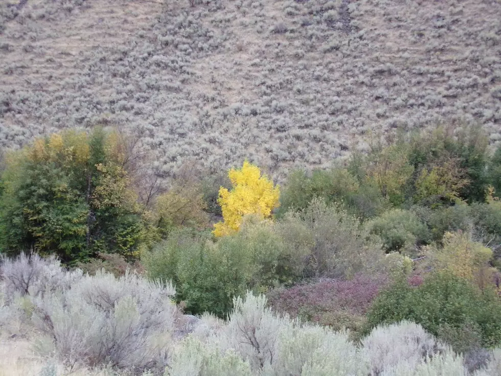 A Bright Spot in the Ongoing Idaho Drought