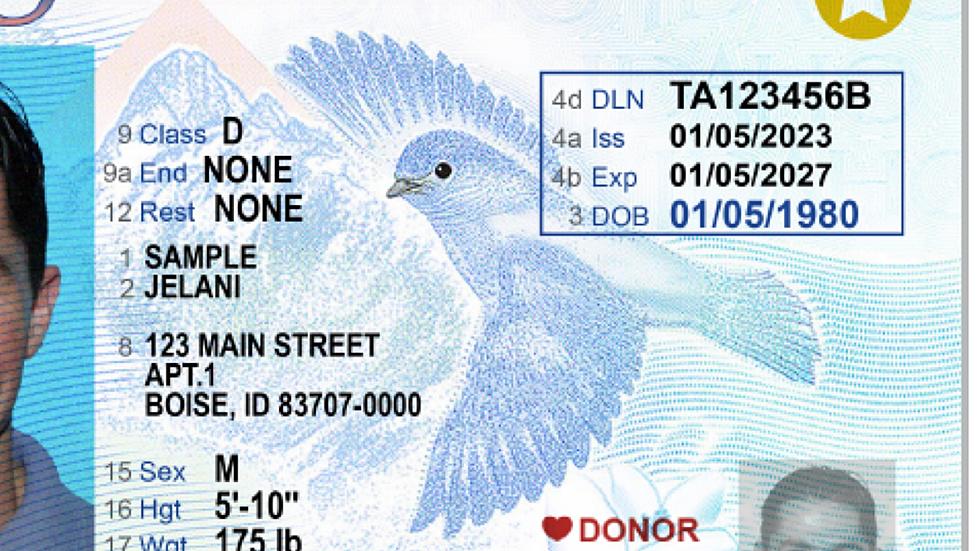 Idaho Driver's Licenses Will Get New Design with State Bird
