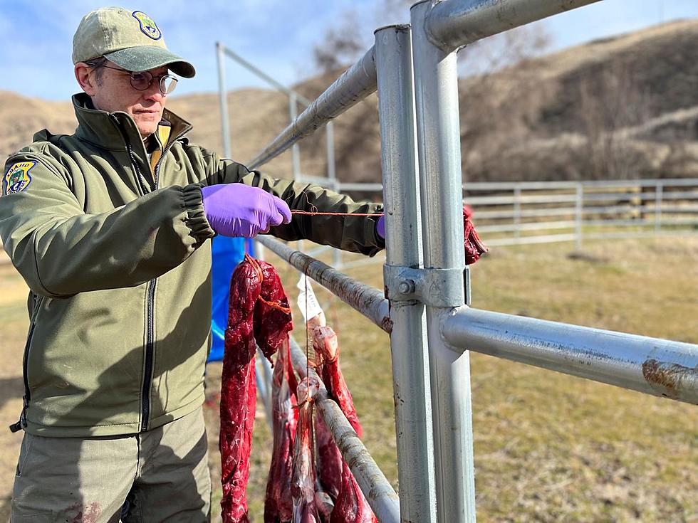 Idaho Working to Slow Spread of Chronic Wasting Disease
