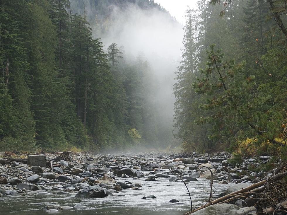 Idaho’s Almost Secret and Isolated Rain Forest