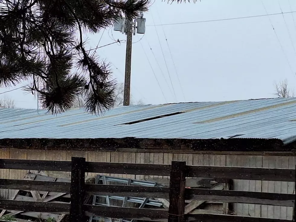 Expect More Wind Damage This Weekend in Idaho