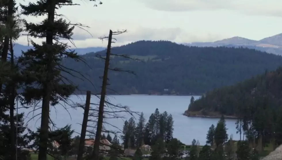 This Video Will Convince Even More Californians to Move to Idaho