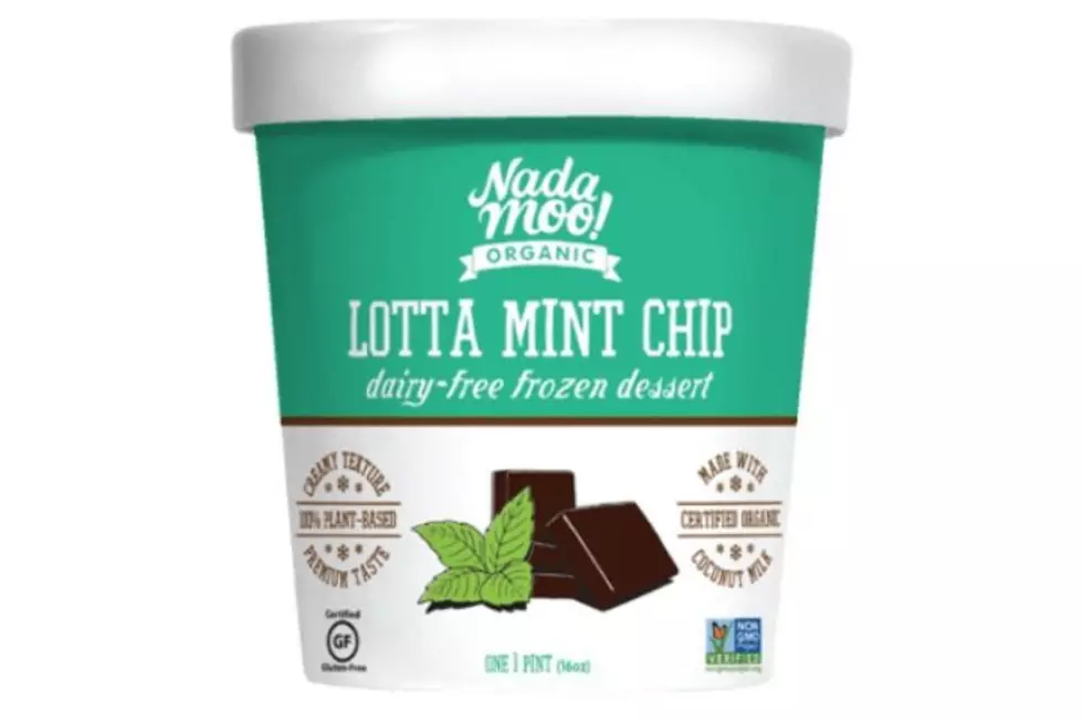 NadaMoo! No-Sugar-Added Mint Chip Non-Dairy Ice Cream