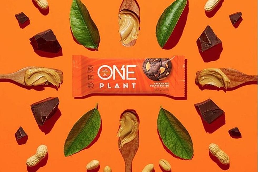 ONE PLANT Chocolate Peanut Butter Protein Bar