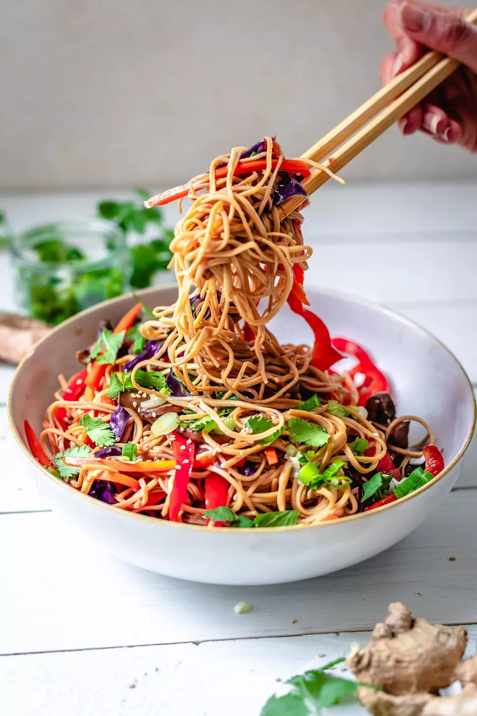 Easy Dinner Idea: Asian Inspired Vegetable Lo Mein