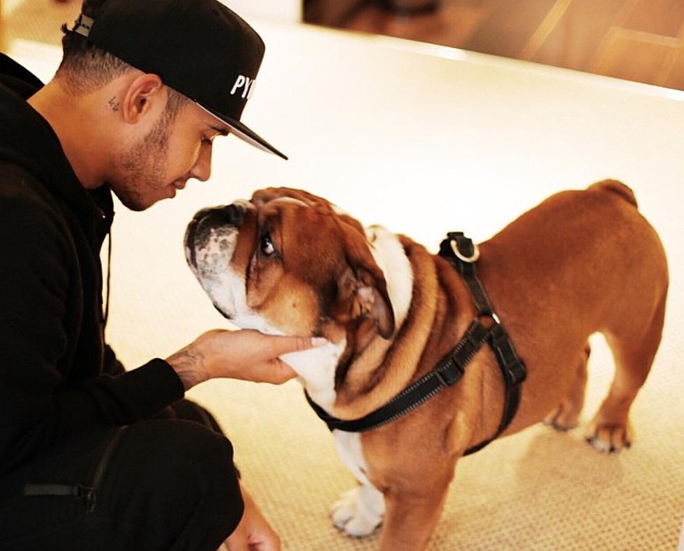 Lewis Hamilton Posts That His Dog Is “Fully Vegan and Super Happy”