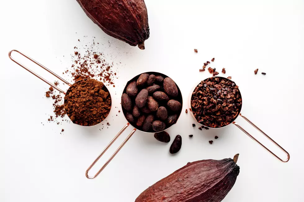For Memory, Mood and Immunity, Eat More Cacao, Found in Dark Chocolate