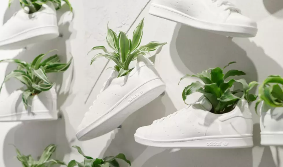 Adidas to Launch Plant-Based Shoes Made From Mushroom Leather