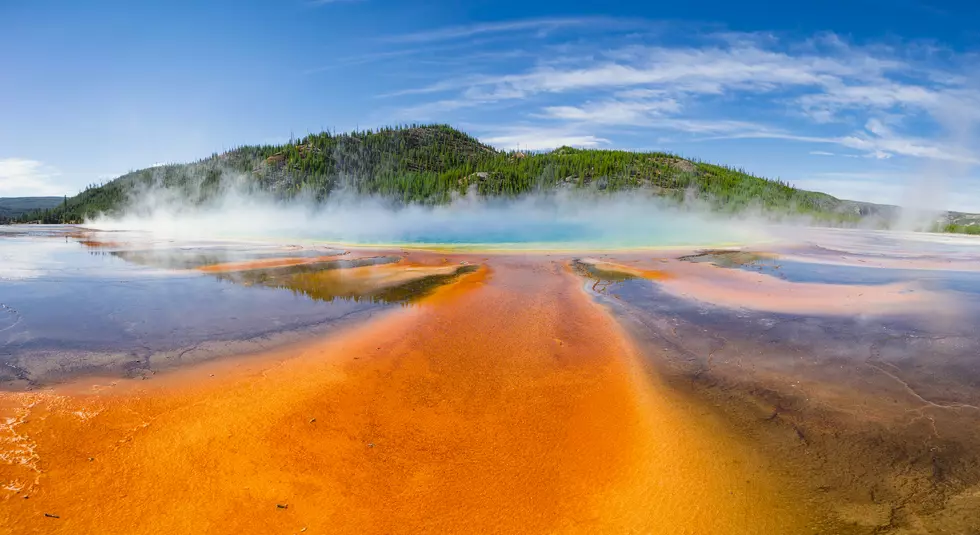 Yellowstone is Serving Vegan Meat Made From a Protein Discovered in the Park