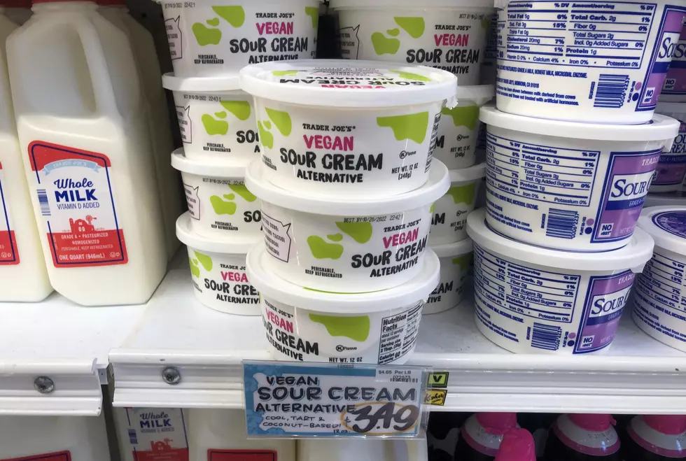 “I Tried Trader Joe’s New Vegan Sour Cream And Here’s What I Thought”
