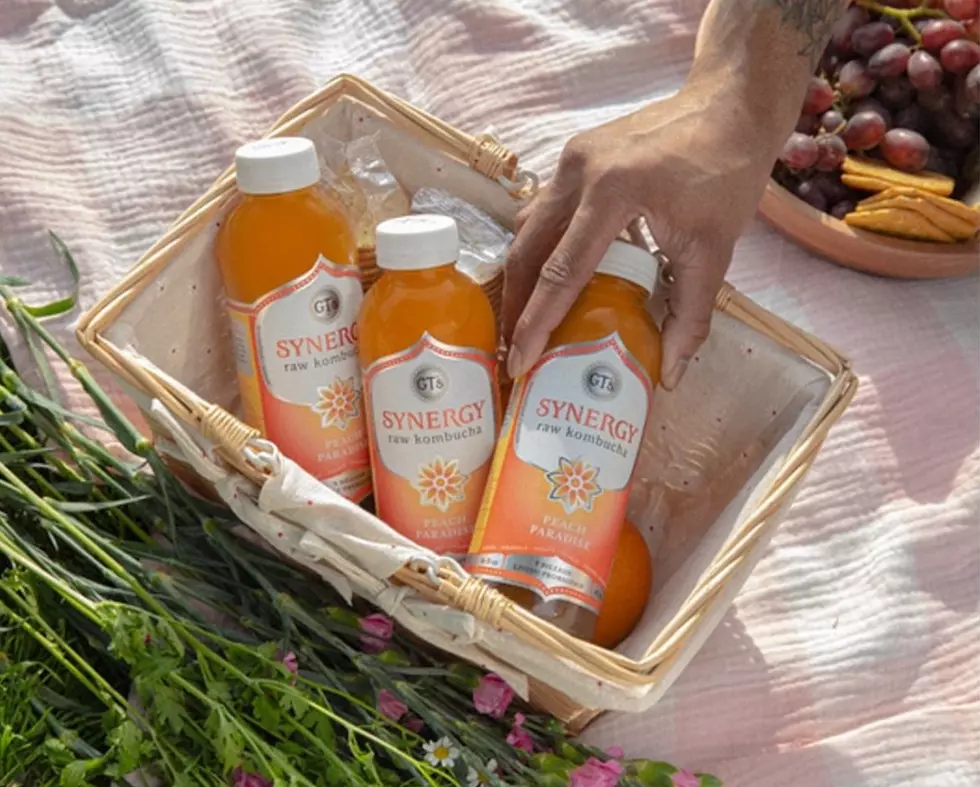 Keep Your Gut Healthy! Here Are the Best Kombucha Brands