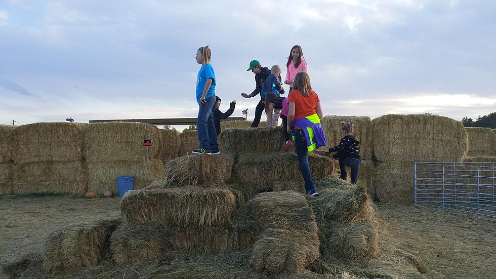 First Person Video Tour Of Idaho Halloween Hay Maze