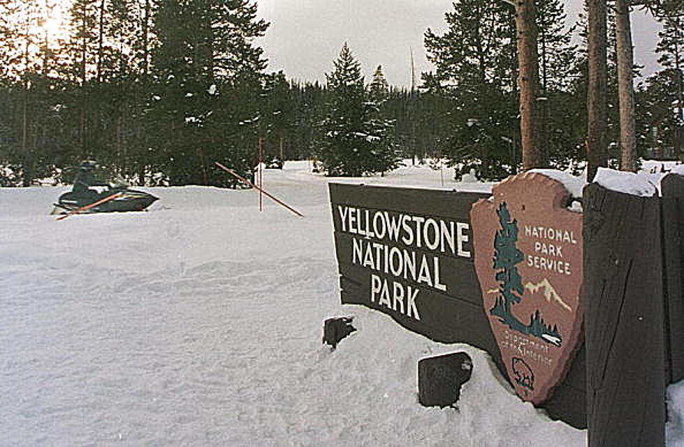 Yellowstone Officials Considering Expanded Wi-Fi For Visitors